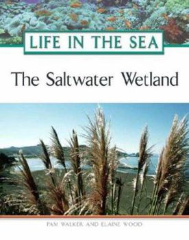 Hardcover The Saltwater Wetland Book