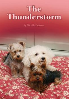 Thunderstorm, The