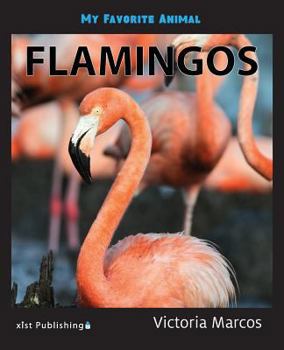 Paperback My Favorite Animal: Flamingos Book