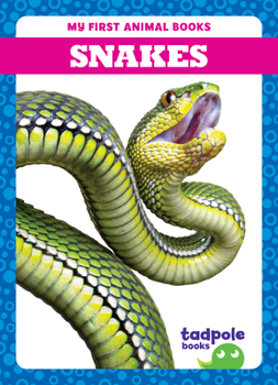 Paperback Snakes Book