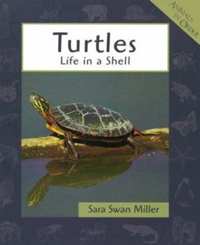 Hardcover Turtles Book