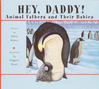 Hardcover Hey, Daddy!: Animal Fathers and Their Babies Book