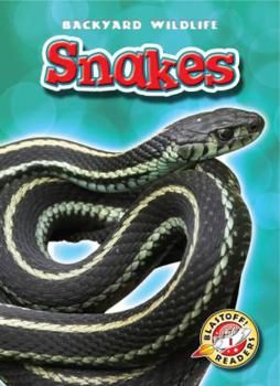 Snakes - Book  of the Backyard Wildlife