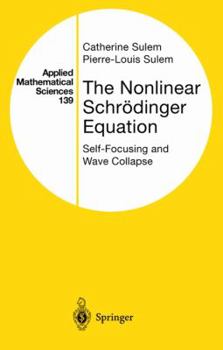 Hardcover The Nonlinear Schrödinger Equation: Self-Focusing and Wave Collapse Book