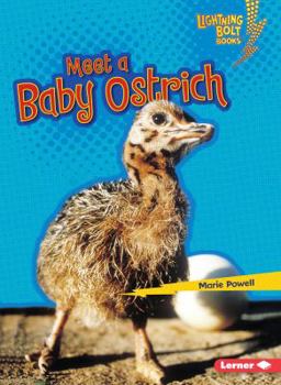 Paperback Meet a Baby Ostrich Book