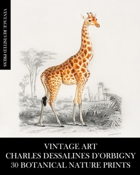 Paperback Vintage Art: Charles Dessalines D'Orbigny: 30 Botanical Nature Prints Book