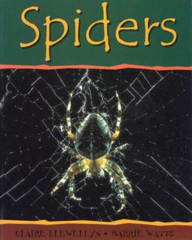 Paperback Spiders (Minibeasts) Book