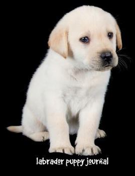 Labrador Puppy Journal : 7. 44 X 9. 69 Inch Dog Notebook, Story Paper for Kids, Labrador Retriever Gift, Composition Book for Kids, 200 Pages
