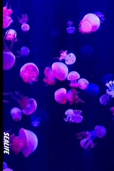 Paperback Sea Life: 6x9 120 page lined paperback notebook exercise book - beautiful Jellyfish, underwater, ocean notebook for school or cr Book