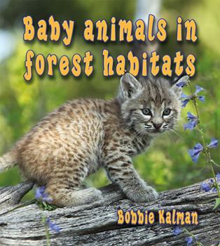 Hardcover Baby Animals in Forest Habitats Book