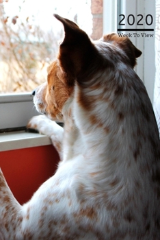 Paperback 2020 A5 Diary Week To View Planner For All Occasions: - Year Planner For Business, Office, Home, University, College, School, Appointments, Organizer. Book