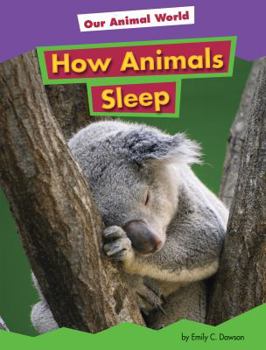 Library Binding How Animals Sleep Book