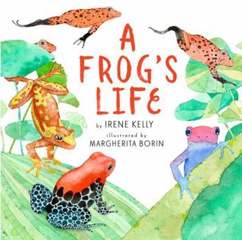 Hardcover A Frog's Life Book