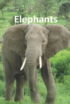 Paperback Elephants Book