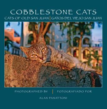 Hardcover "Cobblestone Cats: Cats of Old San Juan" Book