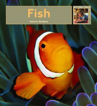 Fish - Book  of the My First Look At: Pets
