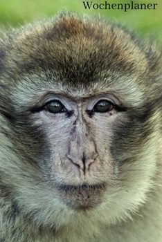 Wochenplaner: Affen A5 6x9 Tagebuch I Wochenkalender I Jahresplaner I Jahreskalender I Terminplaner I für Männer und Frauen , Mädchen und Jungen | Affe Affenliebhaber (German Edition)