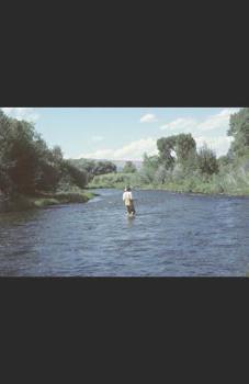 Paperback In Stream Poems Book