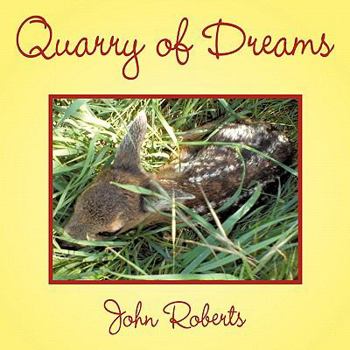 Paperback Quarry of Dreams Book