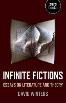 Paperback Infinite Fictions: Essays on Literature and Theory Book