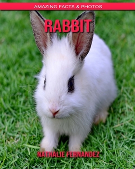 Rabbit: Amazing Facts & Photos