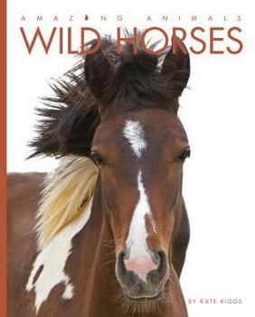 Library Binding Amazing Animals Wild Horses Book