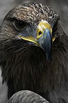 Paperback Bird of Prey Notebook Book