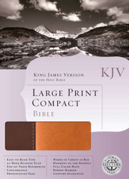 Imitation Leather Large Print Compact Bible-KJV [Large Print] Book