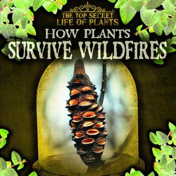 Paperback How Plants Survive Wildfires Book