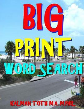 Paperback Big Print Word Search: 133 Entertaining Themed Puzzles Book