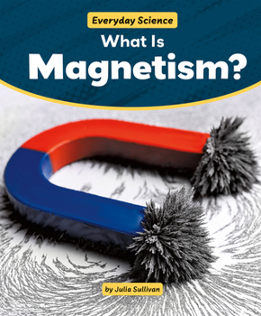 Paperback What Is Magnetism? Book
