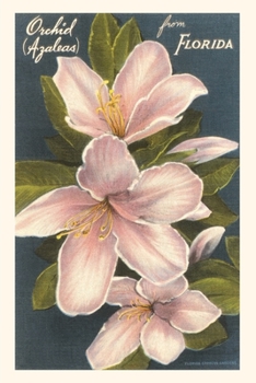 Paperback Vintage Journal Orchid Azaleas, Florida Book