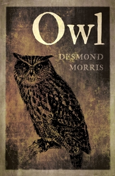 Owl - Book  of the Animal Series