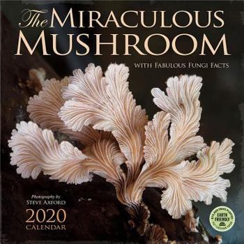 Calendar Miraculous Mushroom 2020 Wall Calendar: With Fabulous Fungi Facts Book