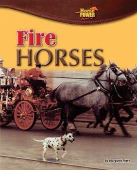 Library Binding Fire Horses Book