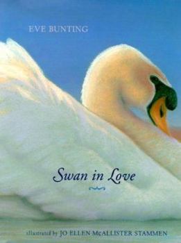 Hardcover Swan in Love Book