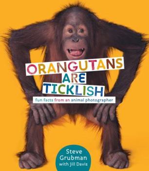 Hardcover Orangutans Are Ticklish: Fun Facts from an Animal Photographer Book