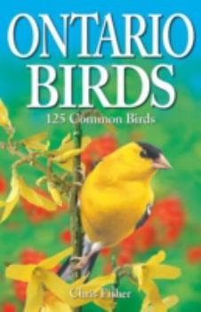 Paperback Ontario Birds Book