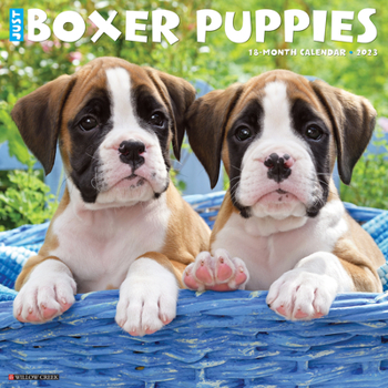 Calendar Just Boxer Puppies 2023 Wall Calendar Book