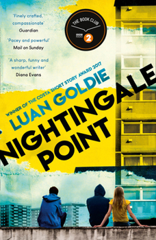 Paperback Nightingale Point Book