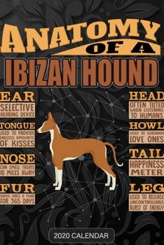 Paperback Anatomy Of A Ibizan Hound: Ibizan Hound 2020 Calendar - Customized Gift For Ibizan Hound Dog Owner Book