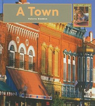 A Town - Book  of the My First Look At: Communities