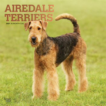 Calendar Airedale Terriers 2021 Square Foil Book