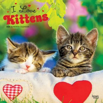 Calendar I Love Kittens 2025 12 X 24 Inch Monthly Square Wall Calendar Plastic-Free Book