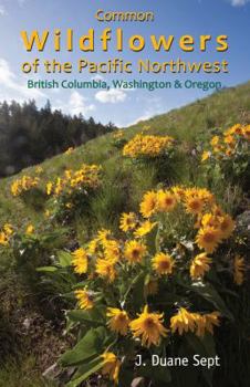 Paperback Common Wildflowers of the Pacific Northwest Book