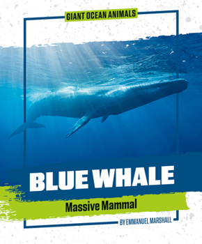 Paperback Blue Whale Book