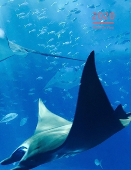 2020 A4 Diary Week To View Planner For All Occasions: | Year Planner For Business, Office, Home, University, College, School, Appointments, Organizer.