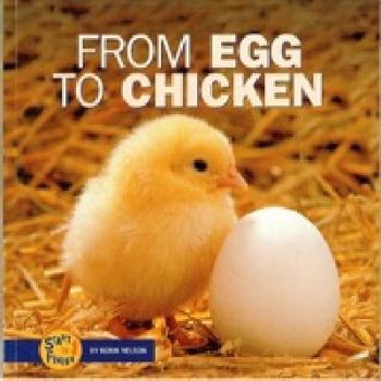 Paperback From Egg to Chicken Book
