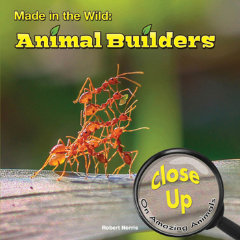 Paperback Made in the Wild: Animal Builders Book