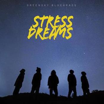 Vinyl Stress Dreams Book